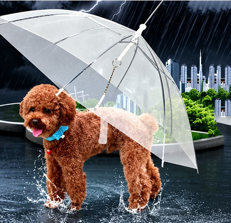 Poodle staying dry under a clear dog umbrella in the rain